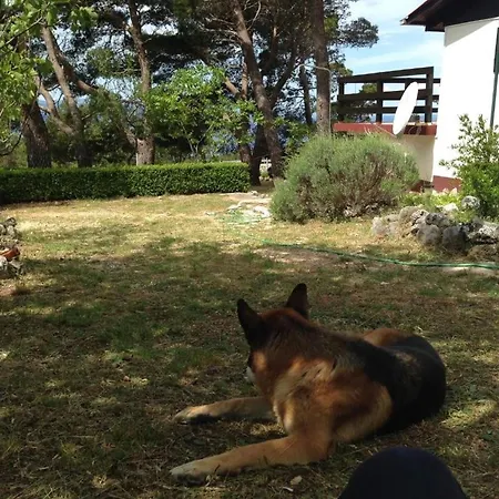 Casa vacanze House Tia *